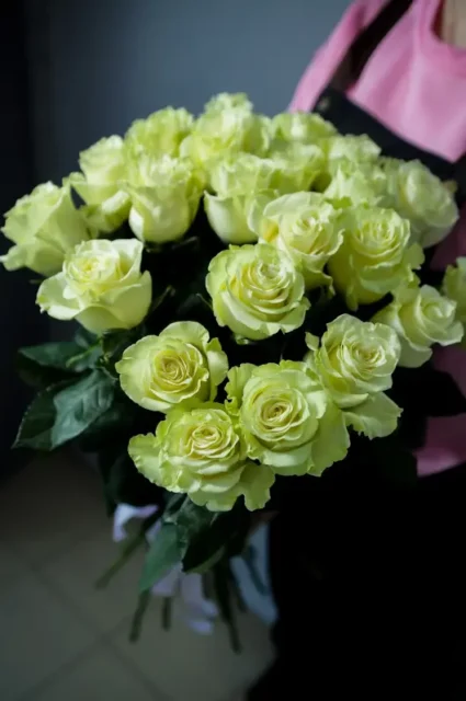 Розы Мондиаль под ленту 25 шт.
